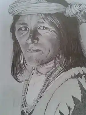 Vevővélemény