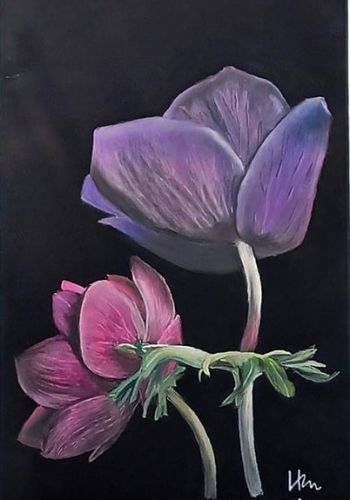 helleborus pasztellkreta technikaval valdor art - ValdorArt