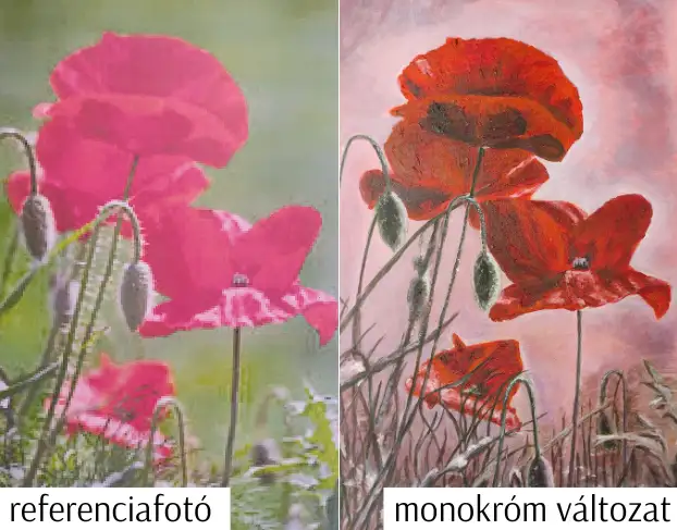 valdor art monokrom festes18 2.webp - ValdorArt