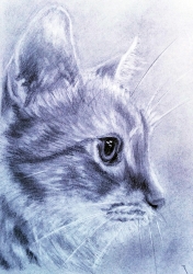 SP kreativ 01 - ValdorArt