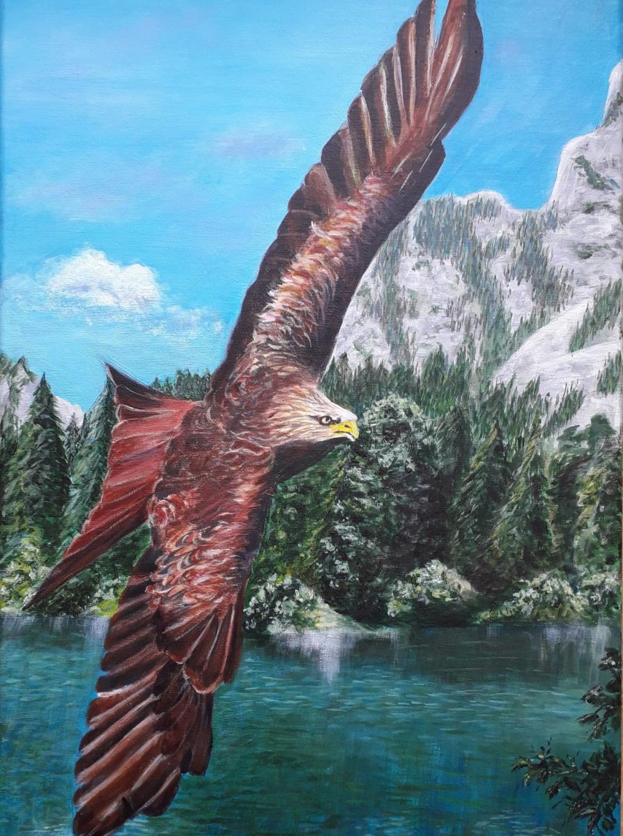 cserebogar 6 - ValdorArt