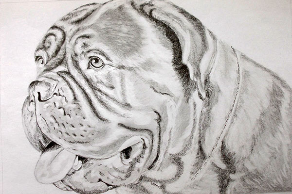 kormoczi marcsi online rajztanfolyam bullmastiff - ValdorArt