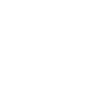 mentorprogram