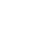 mentorprogram