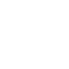 mentorprogram