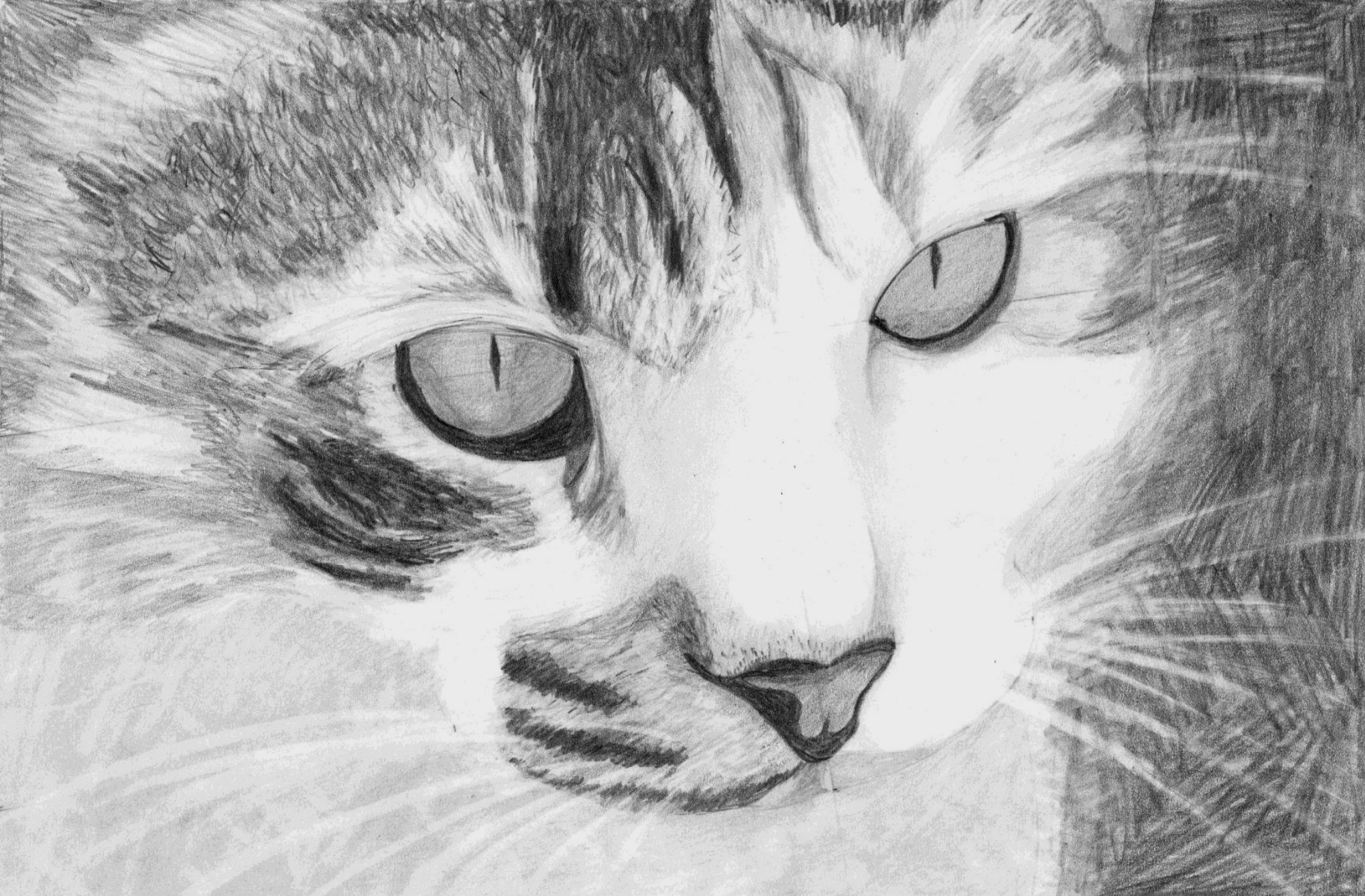 83059282 236d 45db bb73 863373e7246c - valdorart.hu 83059282 236d 45db bb73 863373e7246c - ValdorArt