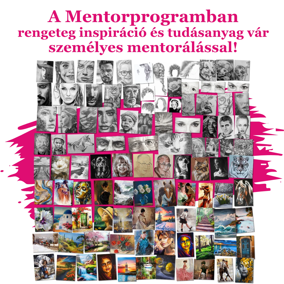 mentorprogram