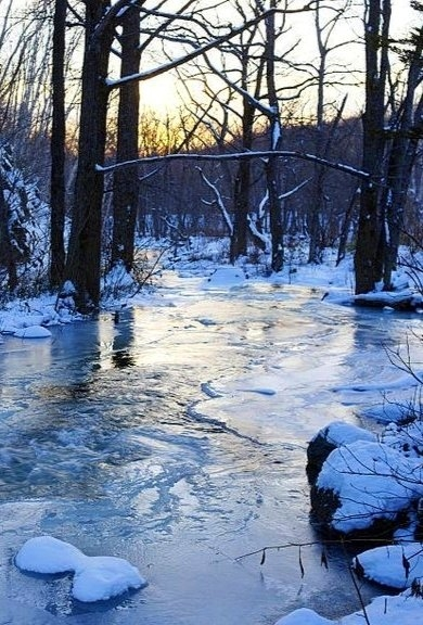 MS02 12.webp - ValdorArt