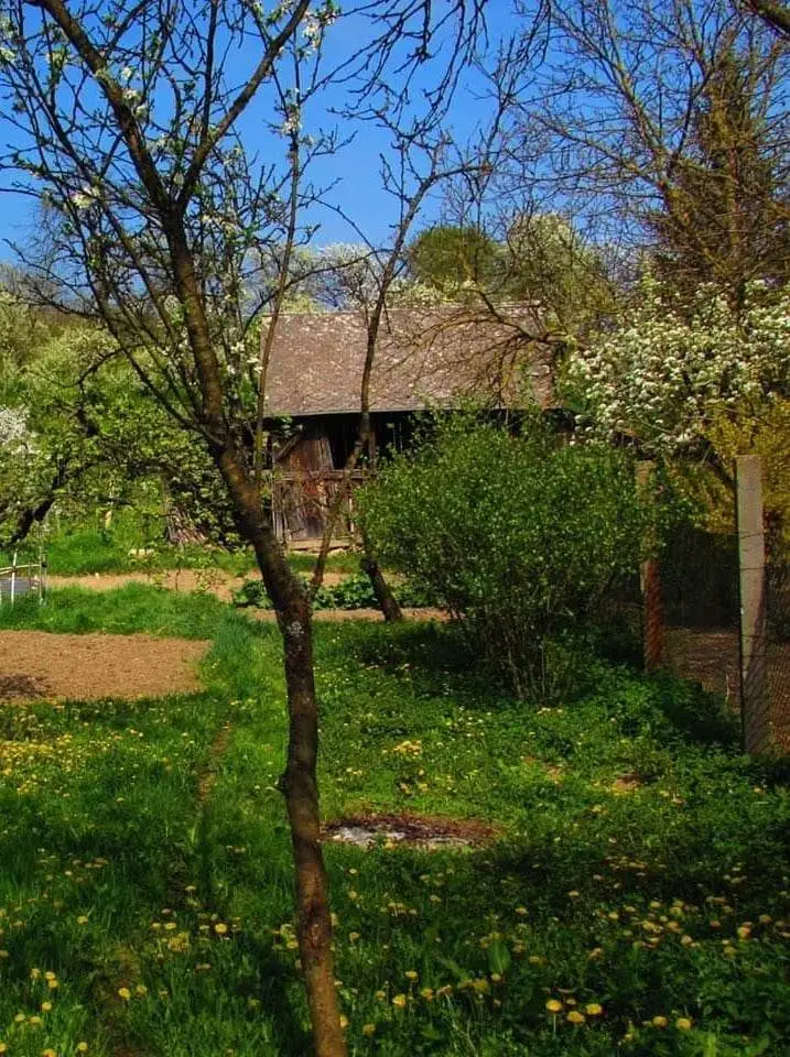 MS02 26.webp - ValdorArt