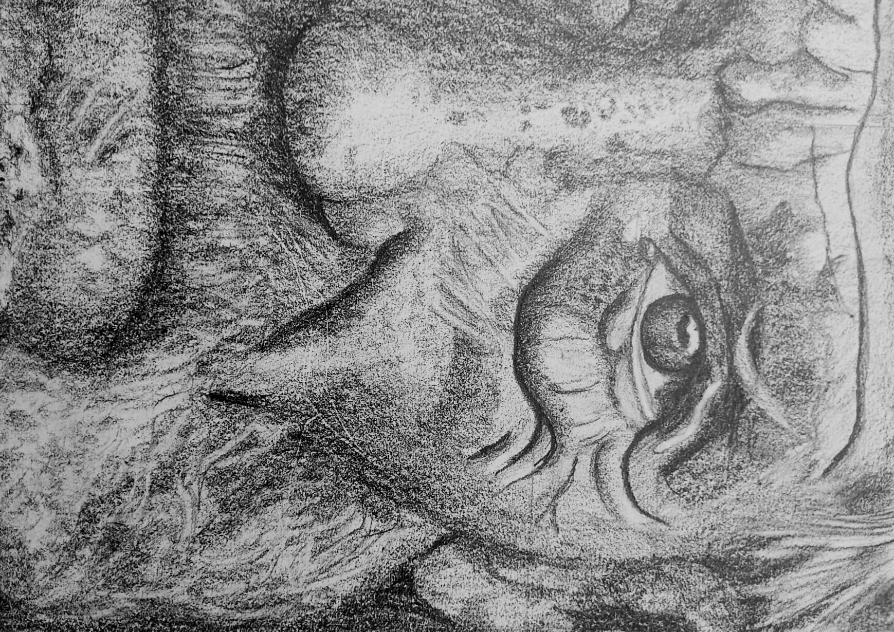 ac34c5bd 6a9d 4c96 bf3b 9c3990cee629 0 - valdorart.hu ac34c5bd 6a9d 4c96 bf3b 9c3990cee629 0 - ValdorArt