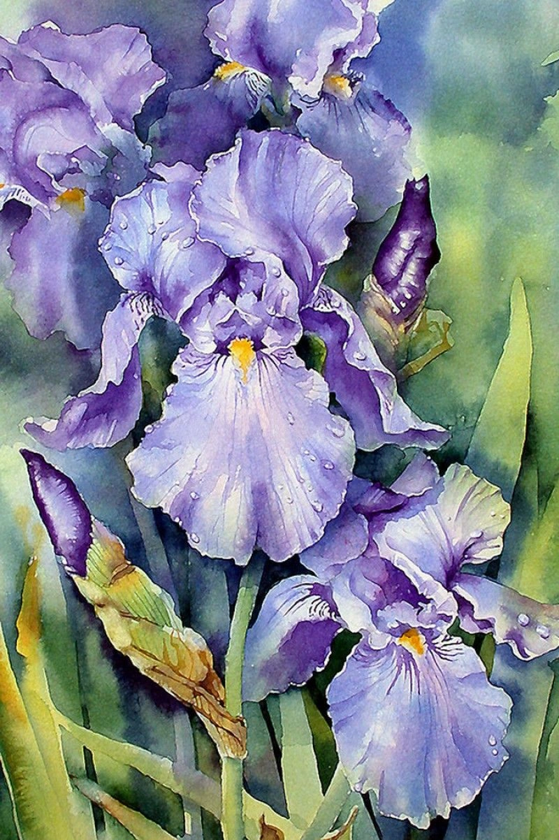 akvarell gyakorlo5 0.webp - ValdorArt