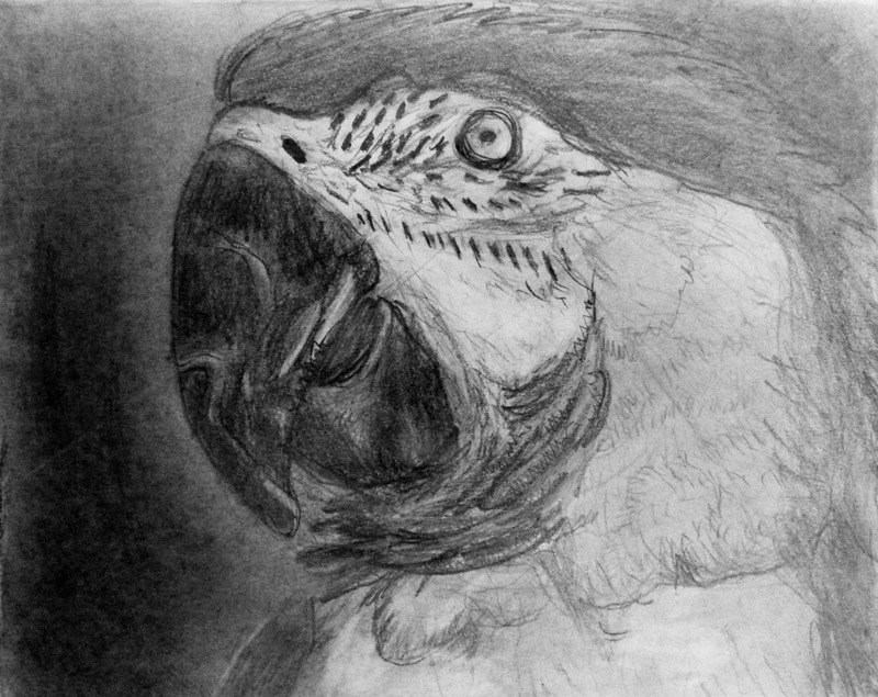 jobb agyfeltekes rajzolas gyerekeknek valdor art rajziskola002 - ValdorArt