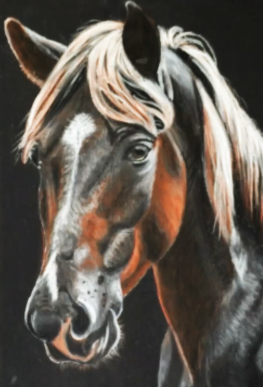 l%C3%B3 - valdorart.hu l%C3%B3 - ValdorArt