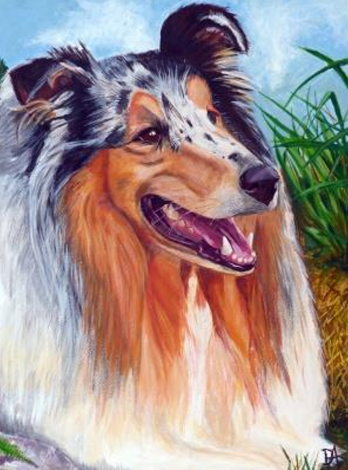 lassie - valdorart.hu lassie - ValdorArt