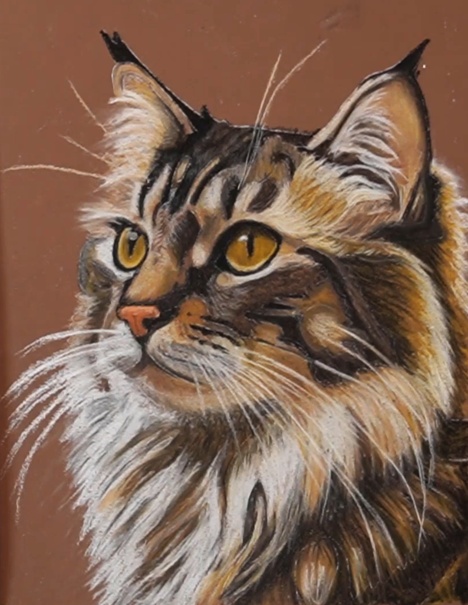 macska - valdorart.hu macska - ValdorArt