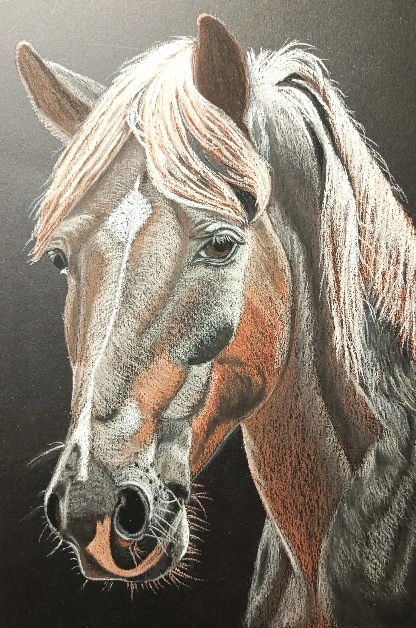 nbpcc6qz8ct0d5po1wpp.webp - valdorart.hu nbpcc6qz8ct0d5po1wpp.webp - ValdorArt