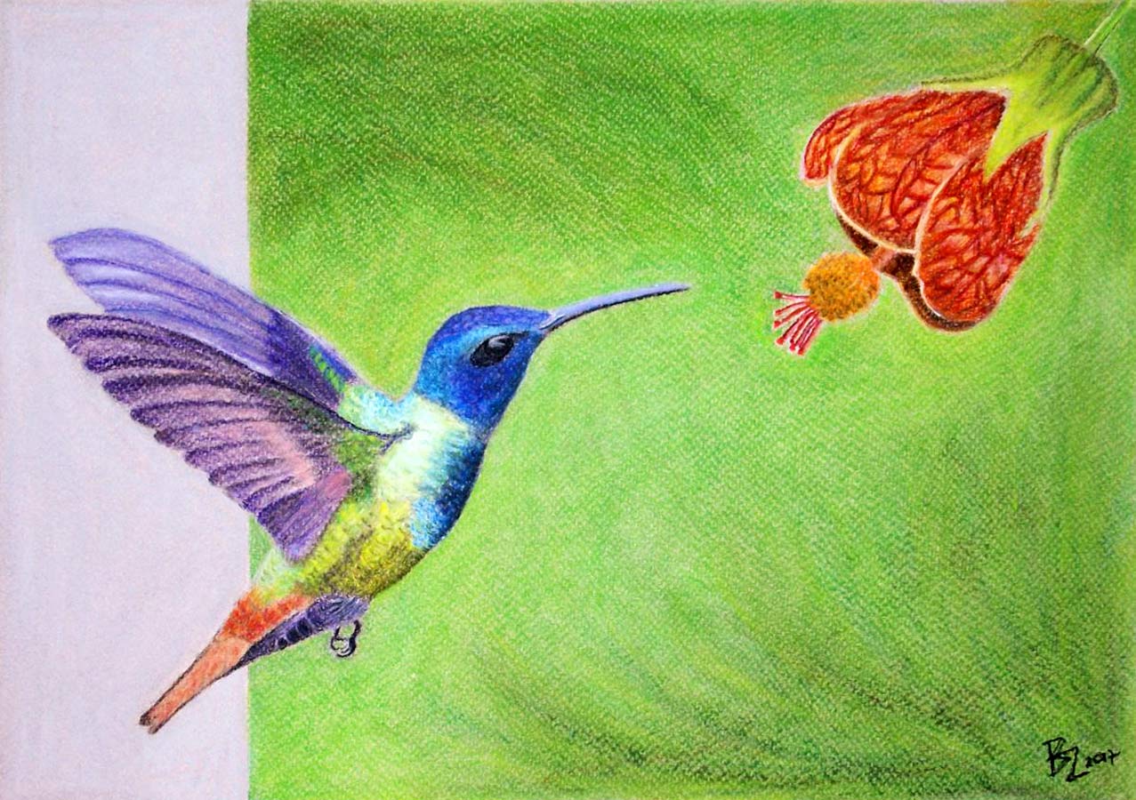 online rajztanfolyam valdor art rajziskola011 0 0 - ValdorArt