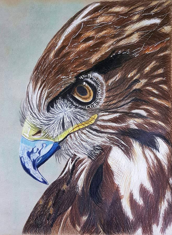 online rajztanfolyam valdor art rajziskola019 0 0 - ValdorArt