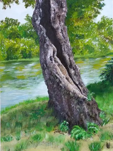 valdor art rajzolas minden tudas csomag4.webp - ValdorArt
