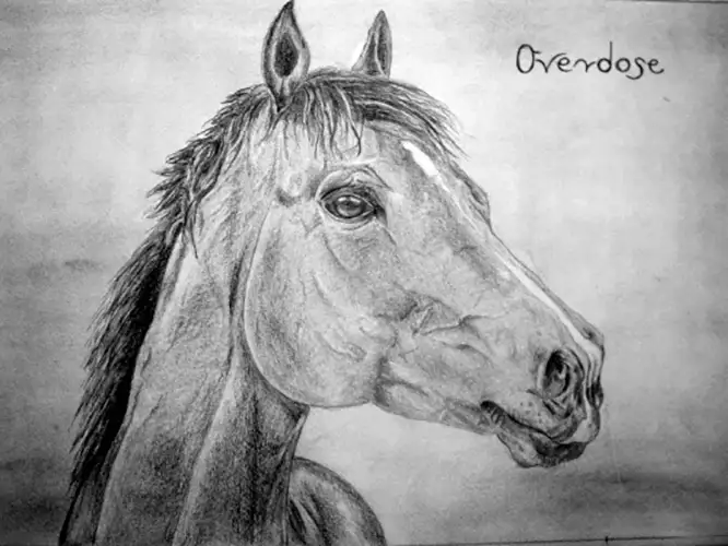 valdorart jobb agyfeltekes rajzolas start csomag3.webp - ValdorArt